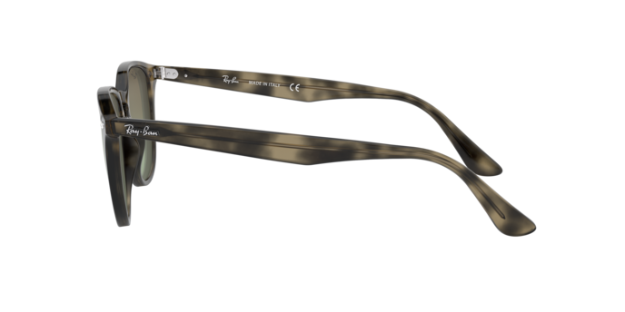 Ray-Ban RB4259 731/E8