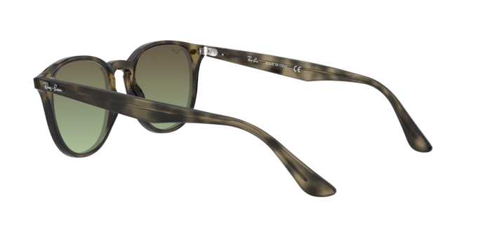 Ray-Ban RB4259 731/E8