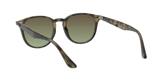 Ray-Ban RB4259 731/E8