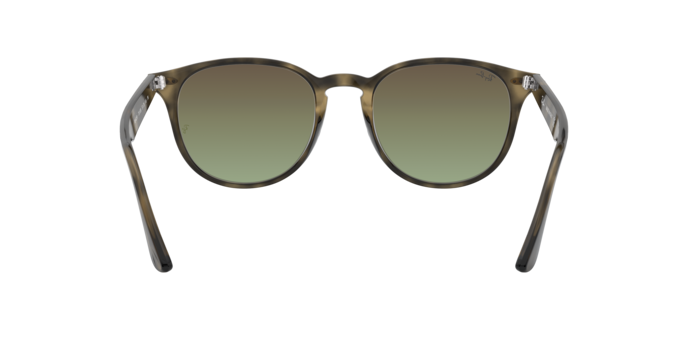 Ray-Ban RB4259 731/E8