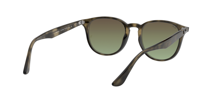 Ray-Ban RB4259 731/E8