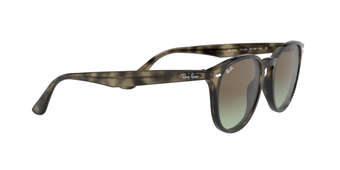 Ray-Ban RB4259 731/E8