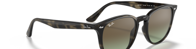 Ray-Ban RB4259 731/E8