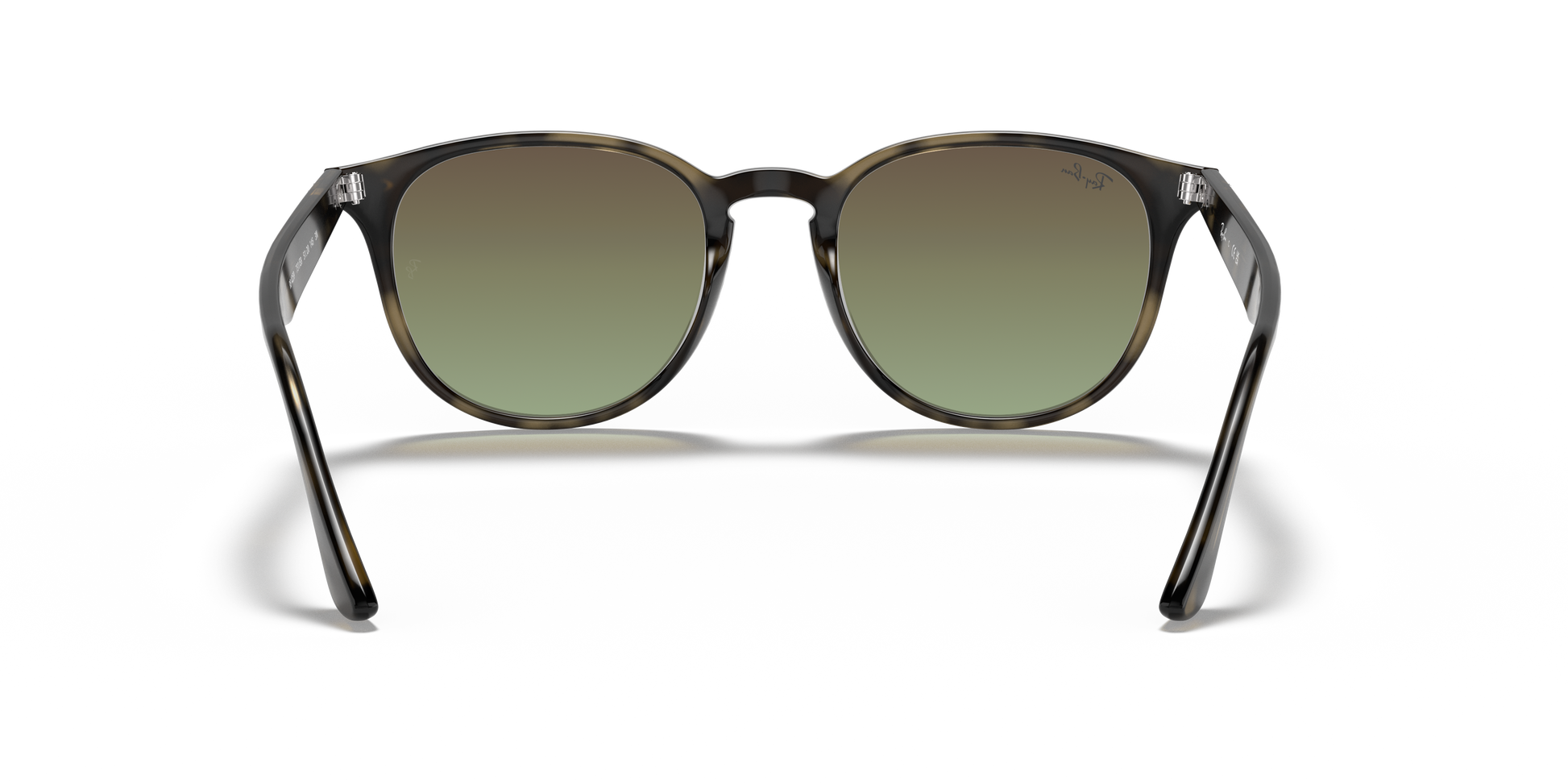 Ray-Ban RB4259 731/E8