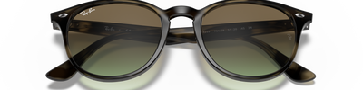 Ray-Ban RB4259 731/E8