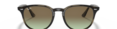 Ray-Ban RB4259 731/E8