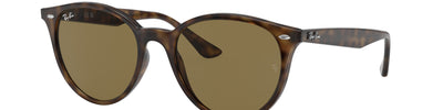 Ray-Ban RB4305 710/73