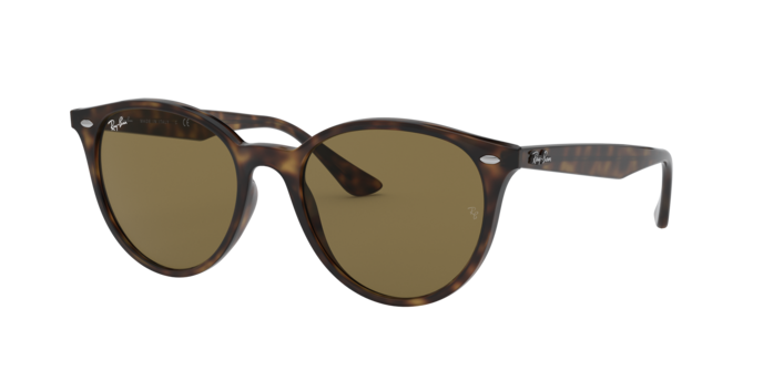 Ray-Ban RB4305 710/73
