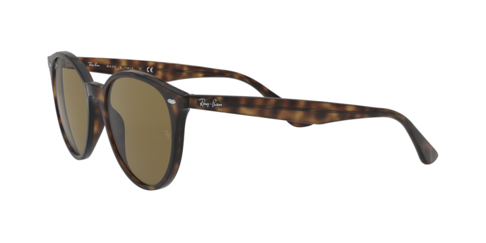 Ray-Ban RB4305 710/73
