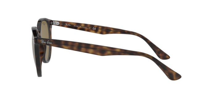 Ray-Ban RB4305 710/73