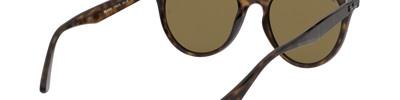 Ray-Ban RB4305 710/73