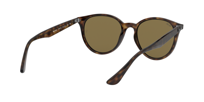 Ray-Ban RB4305 710/73