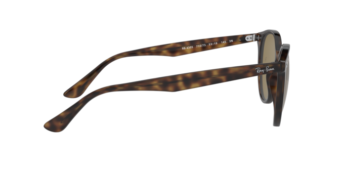 Ray-Ban RB4305 710/73