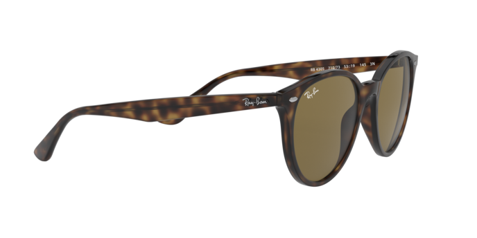 Ray-Ban RB4305 710/73