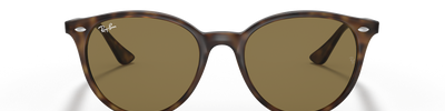 Ray-Ban RB4305 710/73