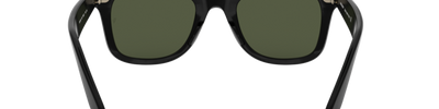 Ray-Ban WAYFARER EASE RB4340 601