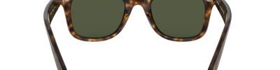 Ray-Ban WAYFARER EASE RB4340 710