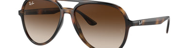 Ray-Ban RB4376 710/13