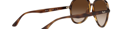 Ray-Ban RB4376 710/13