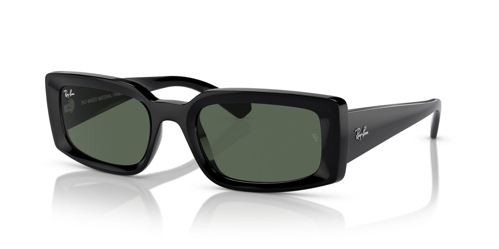 RAY-BAN KILIANE RB4395 667771 - Black Acetate