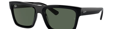 Ray-Ban WARREN RB4396 667771
