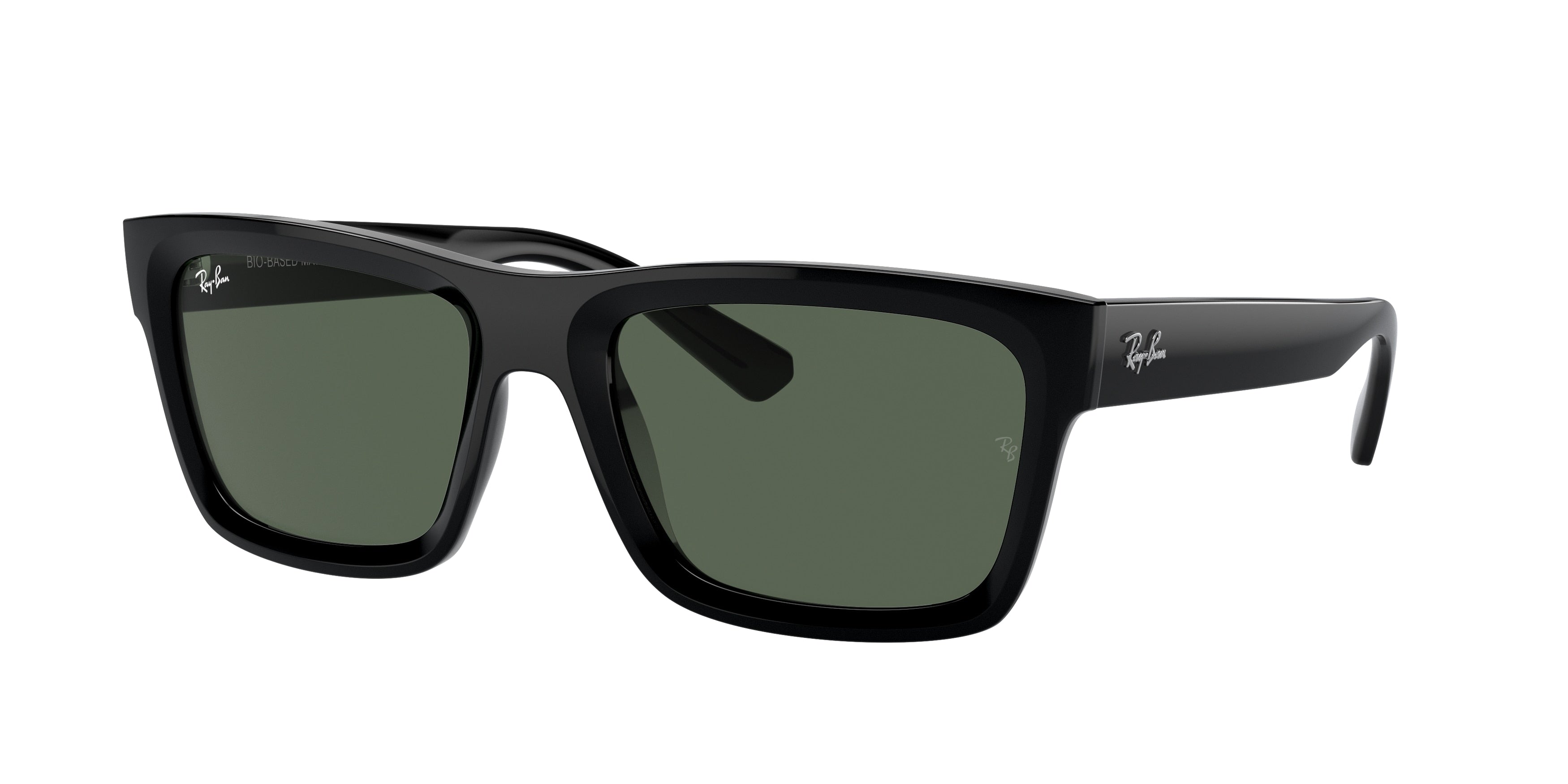 Ray-Ban WARREN RB4396 667771