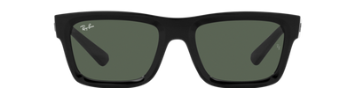Ray-Ban WARREN RB4396 667771