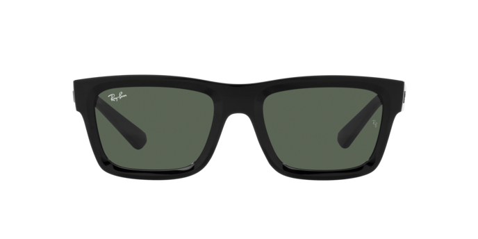 Ray-Ban WARREN RB4396 667771