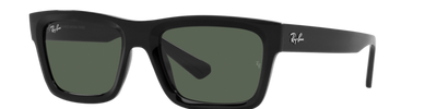 Ray-Ban WARREN RB4396 667771