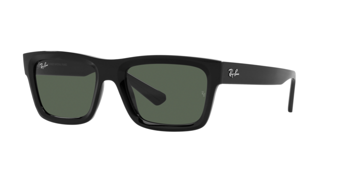 Ray-Ban WARREN RB4396 667771