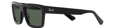 Ray-Ban WARREN RB4396 667771