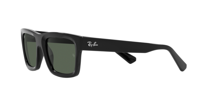 Ray-Ban WARREN RB4396 667771