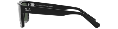 Ray-Ban WARREN RB4396 667771