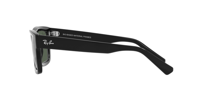 Ray-Ban WARREN RB4396 667771