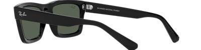 Ray-Ban WARREN RB4396 667771