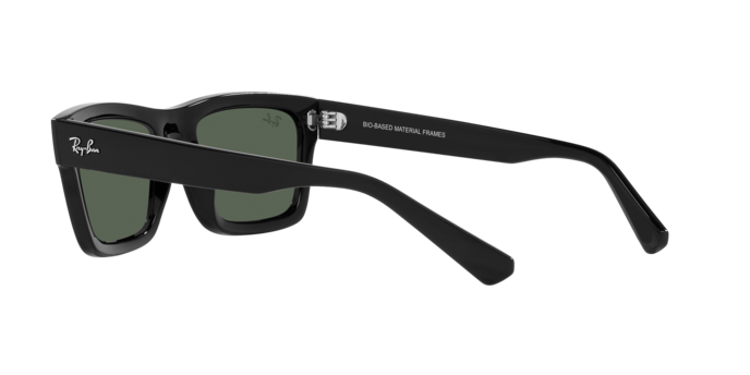 Ray-Ban WARREN RB4396 667771