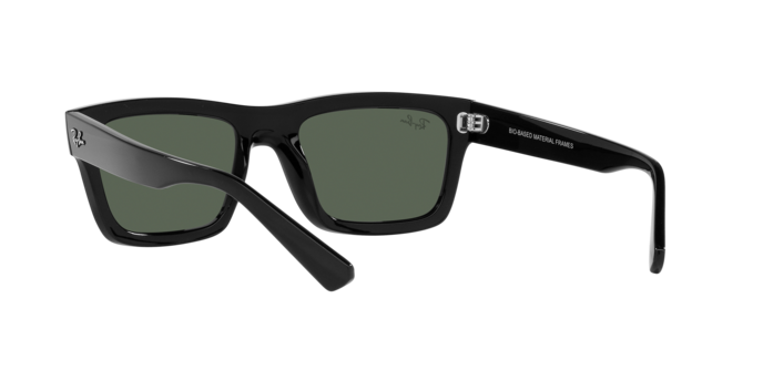 Ray-Ban WARREN RB4396 667771
