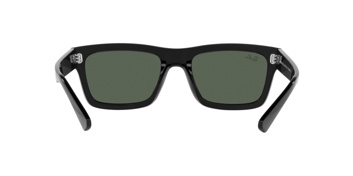 Ray-Ban WARREN RB4396 667771