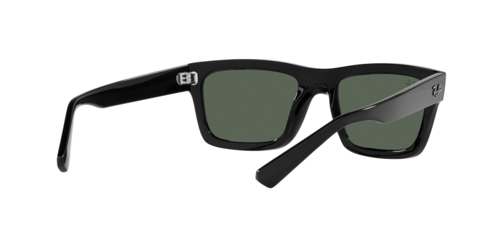 Ray-Ban WARREN RB4396 667771