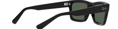 Ray-Ban WARREN RB4396 667771