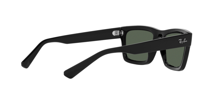 Ray-Ban WARREN RB4396 667771