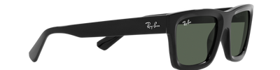 Ray-Ban WARREN RB4396 667771