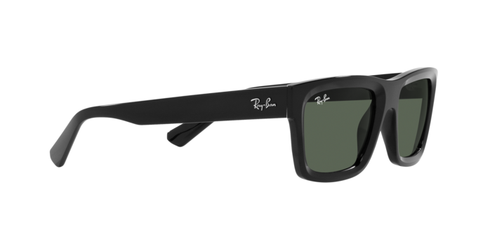 Ray-Ban WARREN RB4396 667771