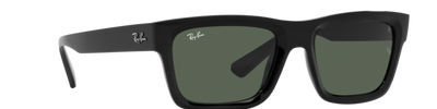 Ray-Ban WARREN RB4396 667771