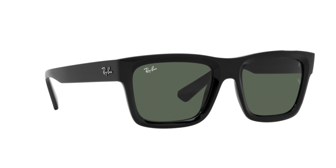 Ray-Ban WARREN RB4396 667771