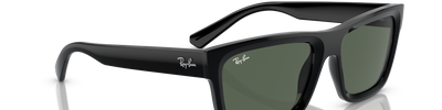 Ray-Ban WARREN RB4396 667771