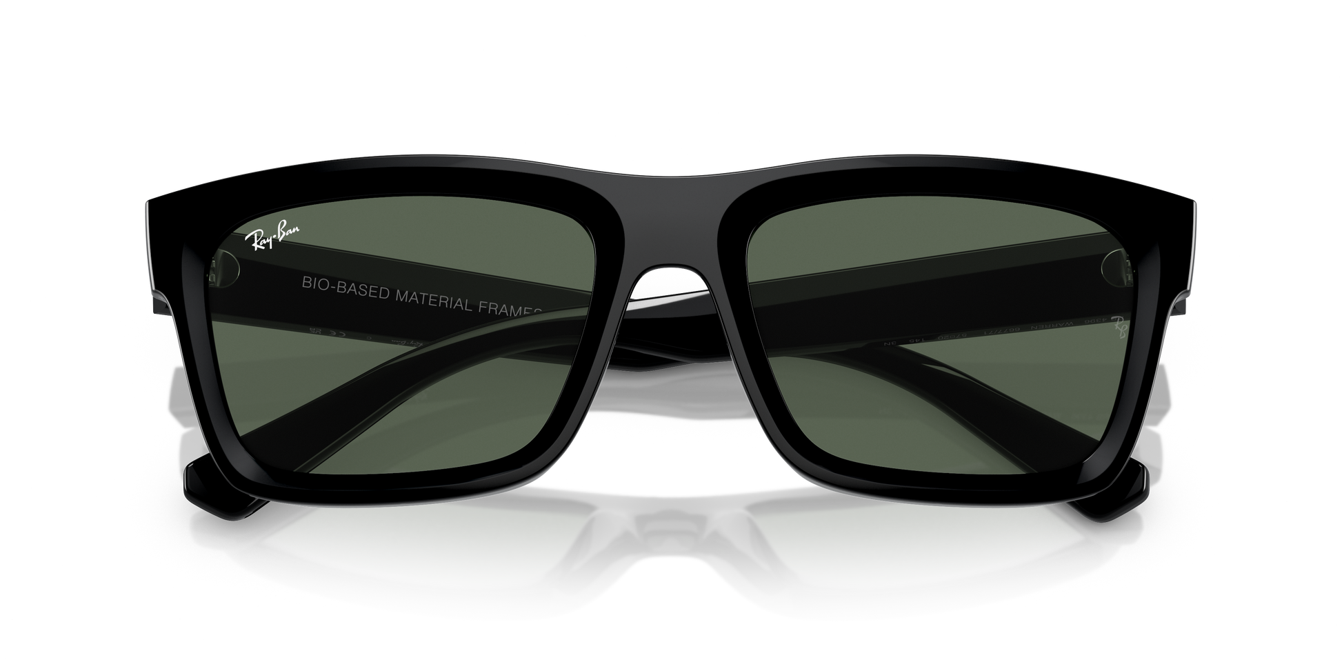 Ray-Ban WARREN RB4396 667771