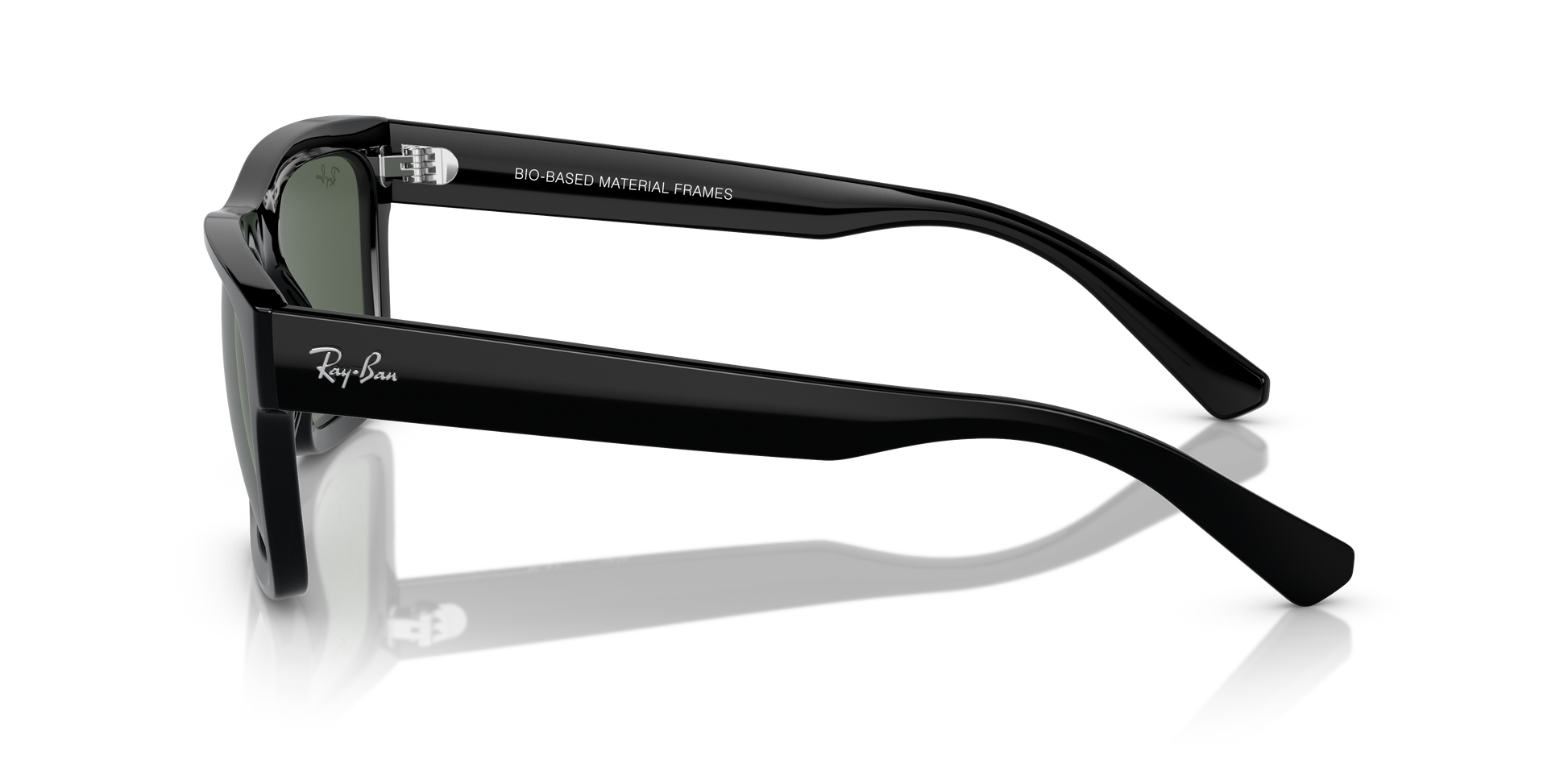 Ray-Ban WARREN RB4396 667771