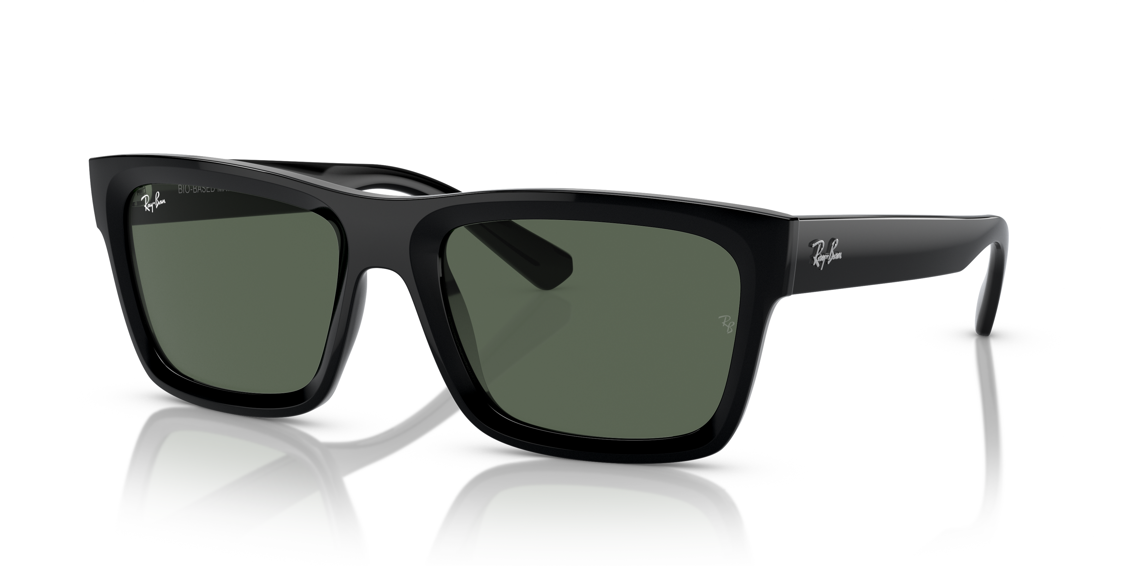 Ray-Ban WARREN RB4396 667771