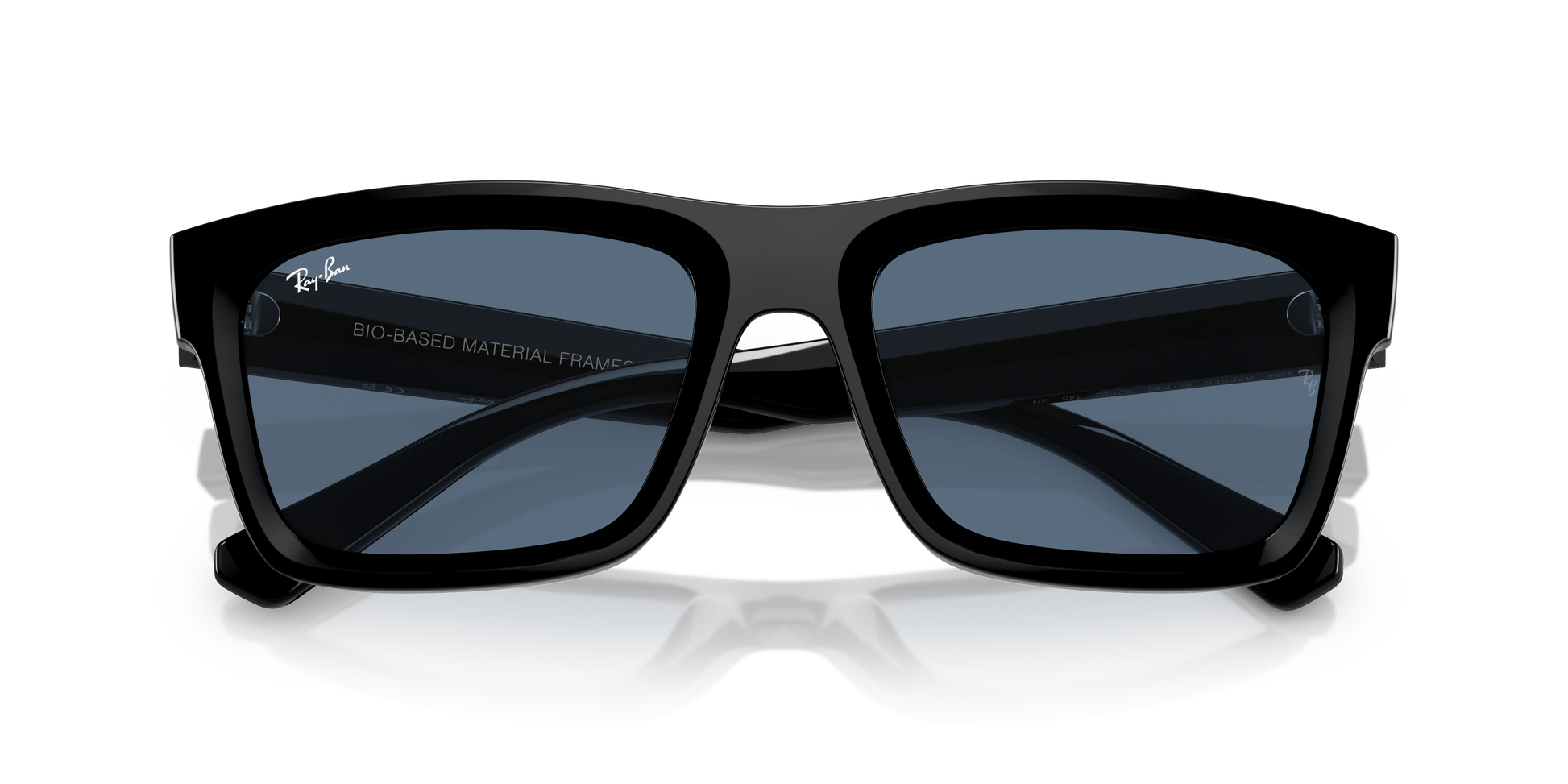 Ray-Ban WARREN RB4396 667780